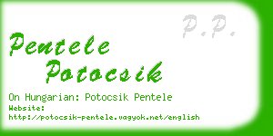 pentele potocsik business card